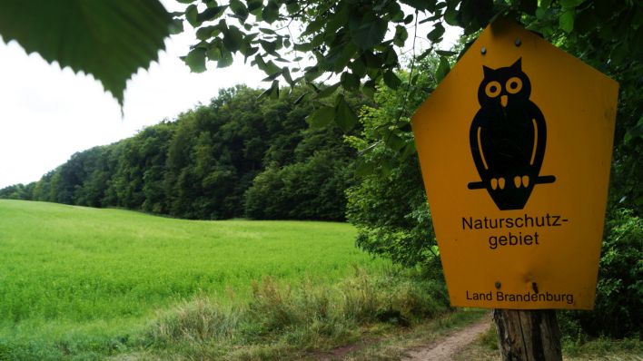 UNESCO-Erbe Grumsin, Schild "Naturschutzgebiet" (Quelle: rbb/Michel Nowak)