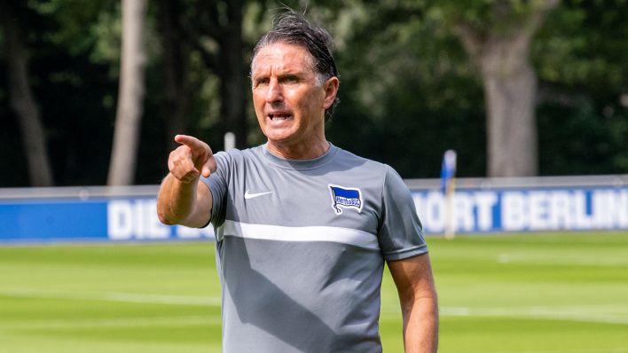 Hertha-Trainer Bruno Labbadia gestikuliert (Quelle: dpa/Andreas Gora)