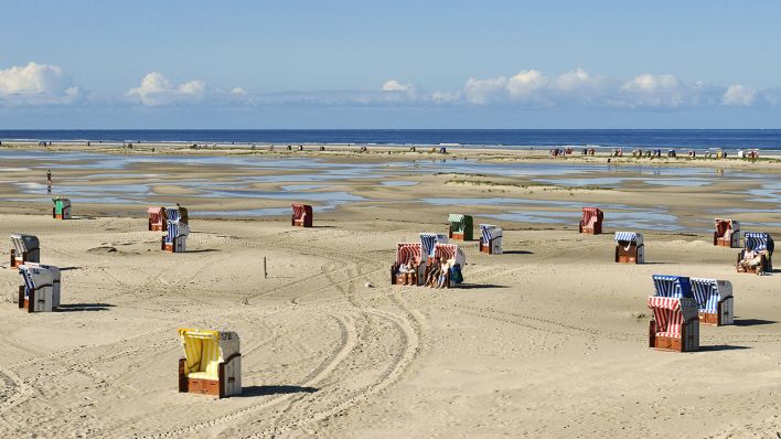 Der breite Strand der Insel Amrum bei Norddorf mit Strandkörben und der Nordsee am Horizont (Quelle: dpa/Michael Narten)