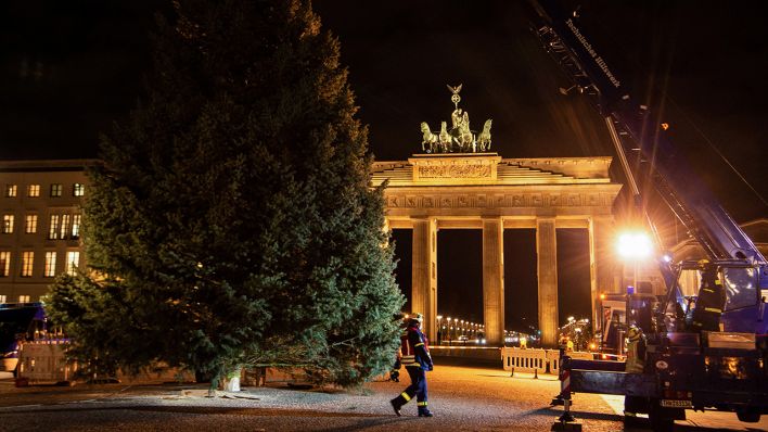 Symbolbild: Der Weihnachtsbaum wurde auf dem Pariser Platz vor dem Brandenburger Tor aufgestellt. (Quelle: dpa/K. Hofmann)