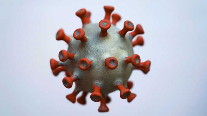 Ein Modell eines Coronavirus. (Quelle: dpa/Peter Endig)
