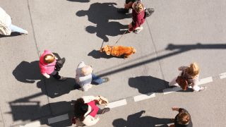 Eine Paar hält in Berlin im Stadtteil Steglitz einen Cockerspaniel an der Leine und geht mit dem Hund über einen Fußgängerüberweg. (Quelle: dpa/Wolfram Steinberg)