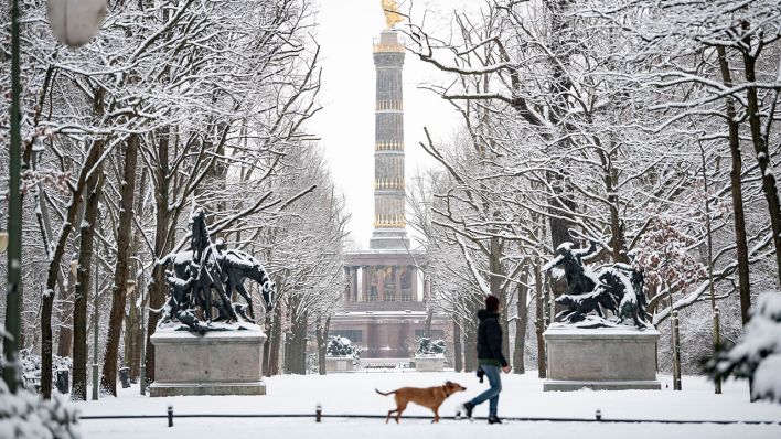 Archivbild: Eine Person geht mit ihrem Hund durch den einegschneiten Tiergarten an der Siegessäule vorbei. (Quelle: dpa/F. Sommer)