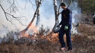Ein Mitarbeiter des Bundesforstbetriebs brennt die Kyritz-Ruppiner Heide an (Bild: rbb/Bjoern Haase-Wendt)