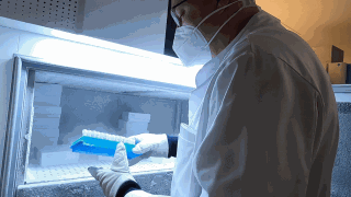 Forscher in einem Referenzlabor am Carl-Thiem-Klinikum Cottbus, das nach Coronavirus-Mutationen sucht (Bild: rbb)