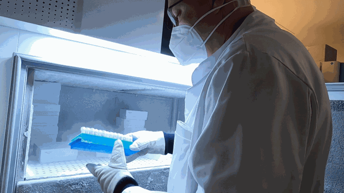 Forscher in einem Referenzlabor am Carl-Thiem-Klinikum Cottbus, das nach Coronavirus-Mutationen sucht (Bild: rbb)