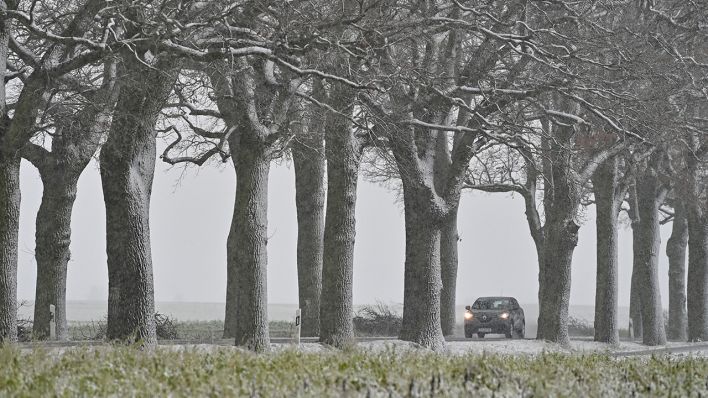 Ein Pkw fährt am 23.01.2021 im trüben Winterwetter auf einer leicht verschneiten Allee im Landkreis Oder-Spree in Ostbrandenburg. (Quelle: dpa/Patrick Pleul)
