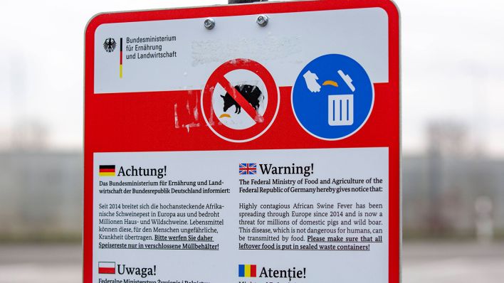 Symbolbild: Das Bundesministerium für Ernährung und Landwirtschaft informiert mit Warnschildern auf Autobahnparkplätzen über die Schweinepest. (Quelle: imago images/R. Schmiegelt)
