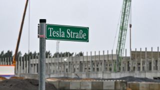Archivbild: Ein Straßenschild mit der Aufschrift «Tesla Straße» steht am Rande des Baugeländes der Tesla Gigafactory östlich von Berlin. (Quelle: dpa/P. Pleul)