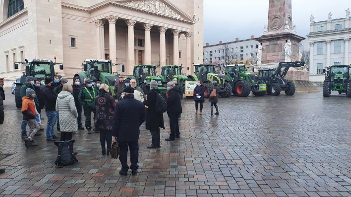 Landwirte protestieren in Potsdam vor dem Brandenburger Landtag. Quelle: Stefan Oberwalleney/rbb