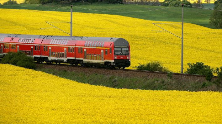 Ein Regionalexpress der Deutschen Bahn fährt in der Uckermark an blühenden Rapsfeldern vorbei (Quelle: dpa/Patrick Pleul)