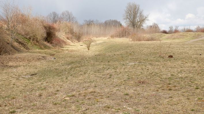 Der Biesenhorster Sand ist am 18. März 2021 zum Naturschutzgebiet erklärt worden. (Quelle: rbb|24/Winkler)