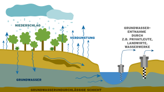 Erklärgrafik Grundwasserspeisung eines Sees (Quelle: rbb/Sophia Bernert)