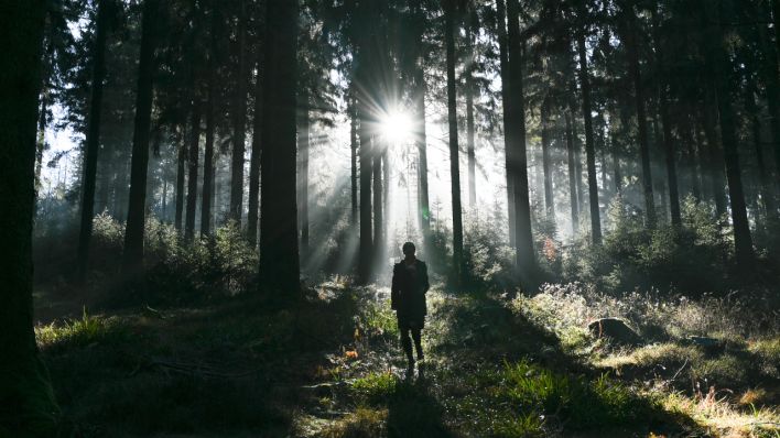 Eine Spaziergängerin ist im Wald, Symbolbild (Quelle: DPA/Arne Dedert)