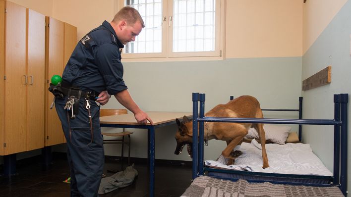 Archivbild: Ein Spürhund durchsucht mit einem Justizvollzugsbeamten eine Gefängniszelle. (Quelle: dpa/S. Pförtner)