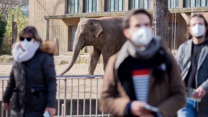 Archivbild: Besucher mit Mund-Nasen-Schutz gehen im Berliner Zoo vor einem Elefanten. (Quelle: dpa/C. Soeder)