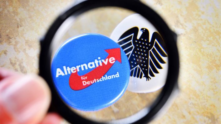 Berliner AfD jetzt auch Verdachtsfall (Quelle: imago-images/Christian Ohde)