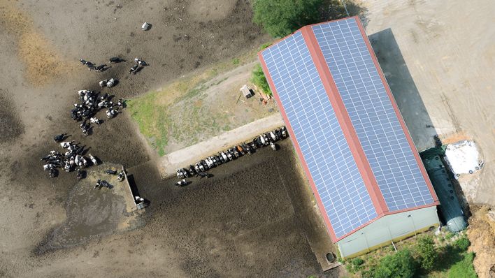 Ein Stallgebäude mit Solarzellen auf dem Dach, aufgenommen aus der Luft im nördlichen Brandenburg. (Quelle: dpa/Ralf Hirschberger)