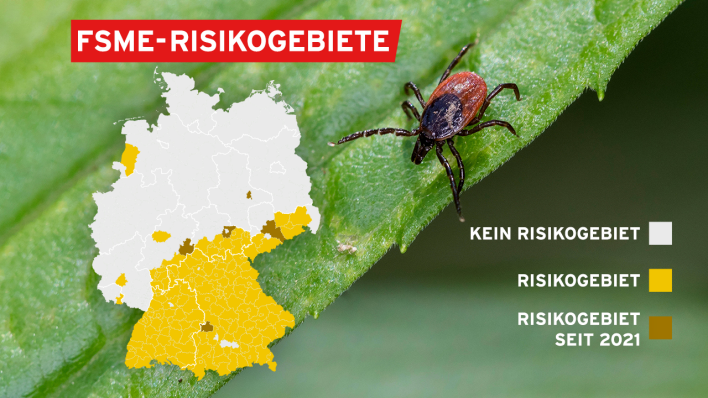 Deutschlandkarte mit eingezeichneten FSME-Risikogebieten. In Süddeutschland liegen die meisten Risikogebiete. Im Hintergrund eine Großaufnahme einer Zecke. (Bild: imago-images/ blickwinkel; Datenquelle: RKI, Stand: 18.01.2021; Grafik: rbb|24)