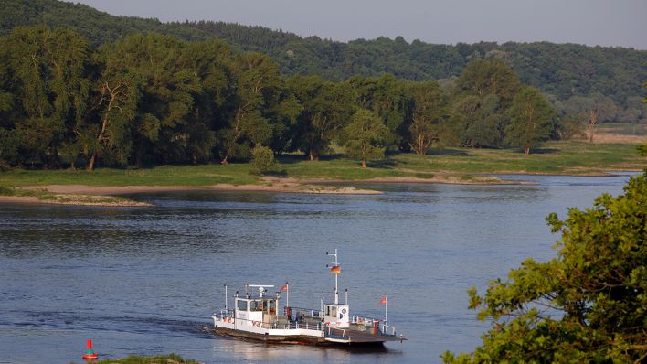 Symbolbild: Elbe bei Lenzen in Brandenburg (Quelle: dpa/Johann Scheibner)