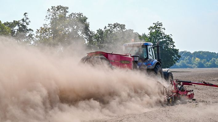 Ein Landwirt fährt mit einem Traktor und angehängter Drille über ein Feld und wirbelt dabei viel Staub vom trockenen Boden auf. (Quelle: dpa/Patrick Pleul)