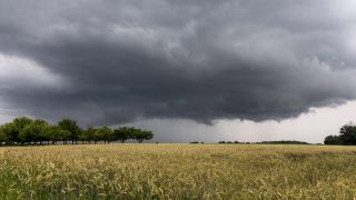 Dunkle Wolken eines Gewitters sind am Nachmittag über den Feldern zu sehen. (Quelle: dpa/Jan Eifert)