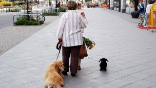 Rentnerin führt Hunde Gassi in Berlin (Bild: imago images/Steinach)
