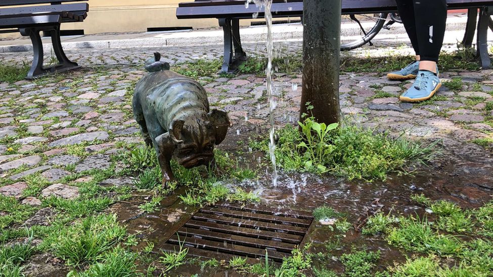 Mops am Brunnen in Brandenburg an der Havel 2021. Die Skulpturen wurden von der Künstlerin Clara Walter geschaffen. (rbb|24/Mara Nolte)
