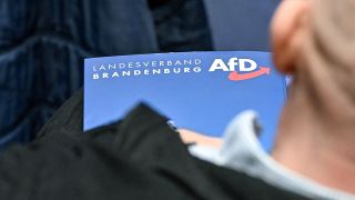 Ein Teilnehmer sitzt in der Brandenburg-Halle und nimmt am Landesparteitag der AfD Brandenburg teil (Bild: dpa/Patrick Pleul)