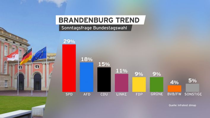 Grafik: Brandenburg Trend zu Sonntagsfrage Bundestagswahl. (Quelle: infratest dimap)