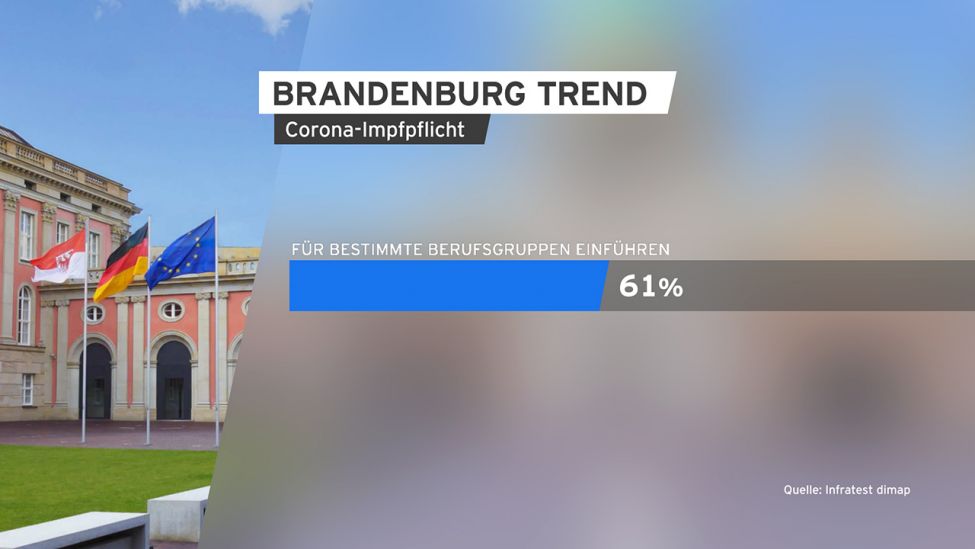 Grafik: Brandenburg Trend zu Corona-Impfpflicht. (Quelle: infratest dimap)