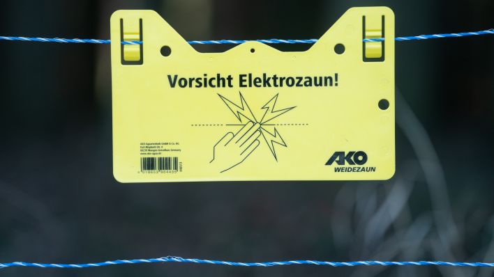 Ein Warnschild mit der Aufschrift Vorsicht Elektrozaun hängt an einem Elektro-Wildabwehrzaun an einem Waldrand. (Quelle: Ronald Bonß/dpa)