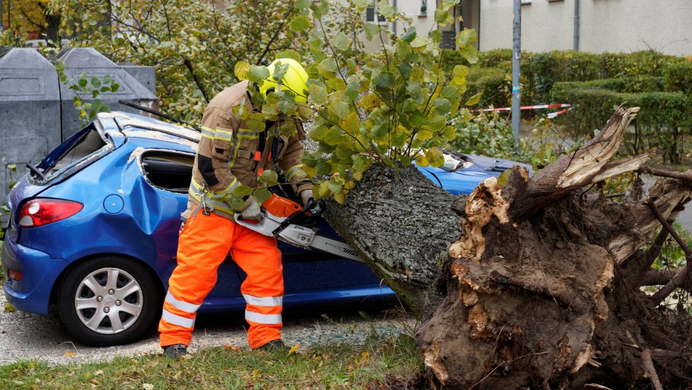 In der Eichbuschallee in Treptow / Köpenick ist ein Baum durch Sturmtief Ignatz auf ein geparktes Auto gefallen. (Quelle: Thomas Bartilla via www.imago-images.de)