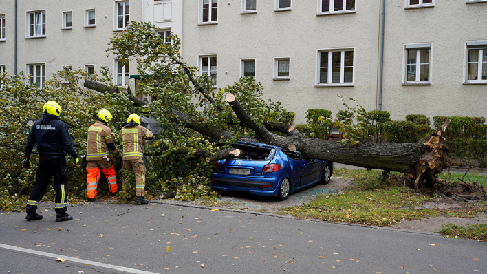 Sturmschaden in Berlin-Treptow (Quelle: imago images/Future Image)