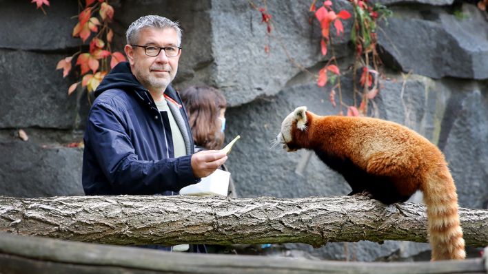 Urs Fischer und Kleiner Panda im Tierpark Berlin . (Quelle: © 1.FC Union)