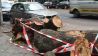 In der Torstraße in Berlin-Mitte haben Feuerwehrleute einen Baum zersägt, der auf ein Auto gestürzt war (Quelle: rbb/Ulrich)