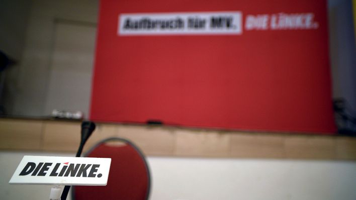 Blick in den Saal des Landesparteitags der Partei Die Linke (Quelle: dpa/Frank Hormann)