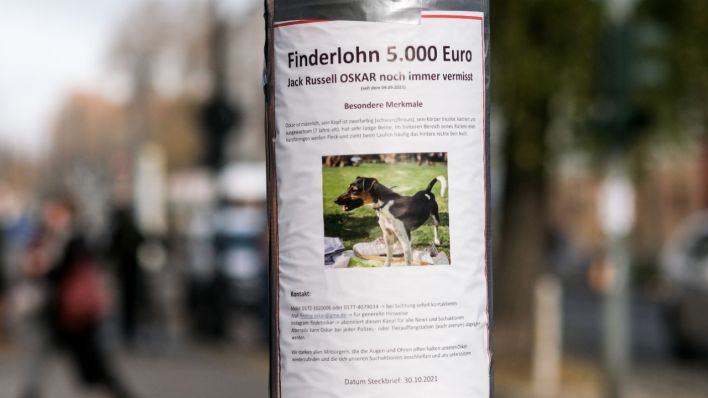 Auf einem Zettel an einem Laternenpfahl in Prenzlauer Berg wird mit einem Finderlohn nach dem vermissten Hund Oskar gesucht.