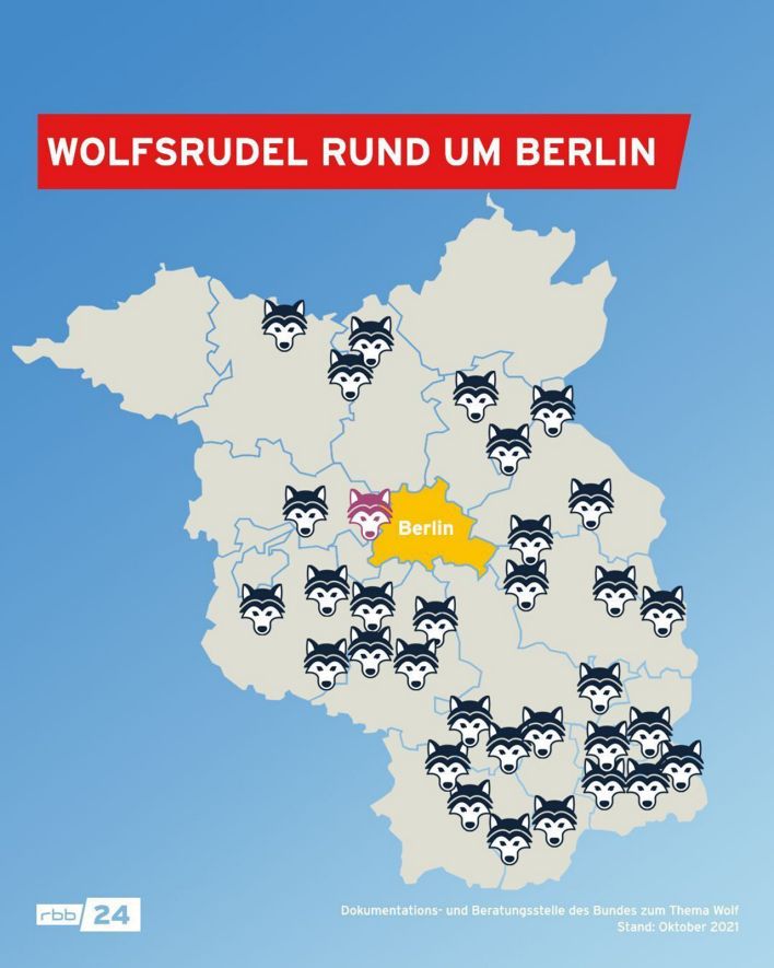 Wolfsrudel rund um Berlin, Stand Oktober 2021. (Quelle: rbb)
