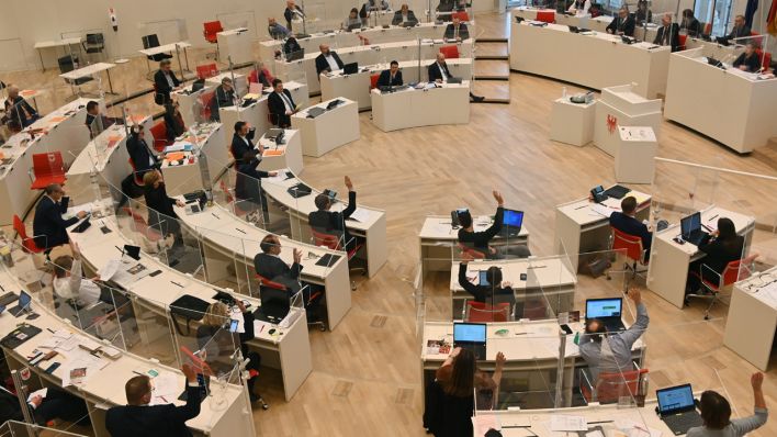 Abgeordnete im Brandenburger Landtag bei einer Abstimmung (Quelle: dpa/Bernd Settnik)