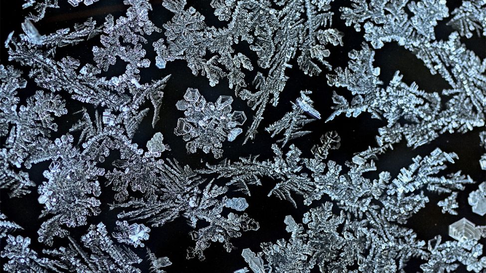 Bei einer Temperatur von minus zehn Grad Celsius haben sich Eiskristalle, umgangssprachlich auch Eisblumen genannt, an einem Fenster gebildet.
