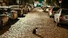 In aller Ruhe sitzt eine Katze am Abend kurz nach 22 Uhr auf dem Kopfsteinpflaster einer Straße in Karlshorst, in der zahlreiche Autos parken. Das Land Berlin hat erleichtert, streunende Katzen zu kastrieren (Quelle: dpa / Jens Kalaene).