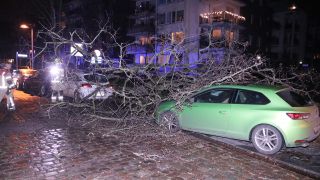 Gegen 22.40 Uhr krachte ein Baum auf mehrere Fahrzeuge auf der Straße "Fischzug" auf der Halbinsel Stralau. (Quelle: Morris Pudwell)