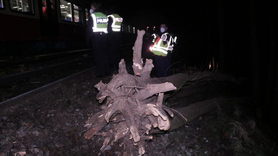 Baum stürzt auf S-Bahngleise - zwei Züge zum Teil schwer beschädigt (Quelle: Morris Pudwell)