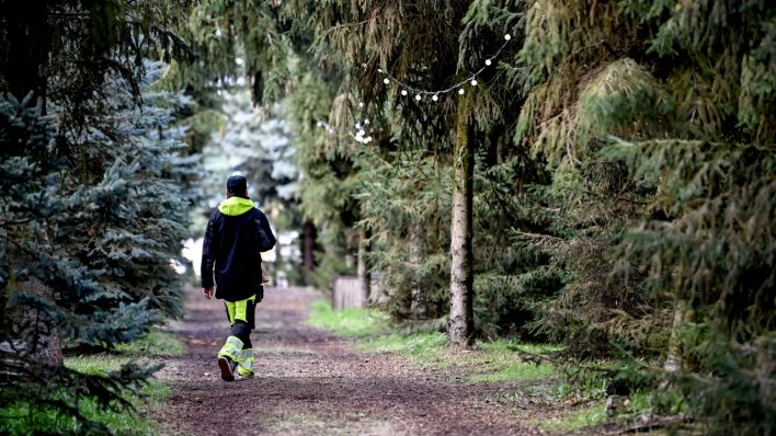 Ein junger Mann im Wald (Quelle: dpa/Britta Pedersen)