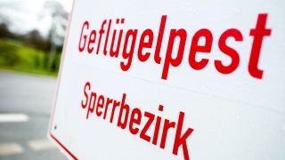 Sybolbild: Ein Schild mit der Aufschrift «Geflügelpest Sperrbezirk». (Quelle: Hauke-Christian Dittrich/dpa)