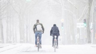 Zwei Personen fahren mit dem Rad im Schnee entlang einer Allee in Berlin. (Quelle: dpa/Florian Gaertner)