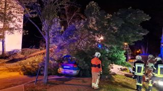 Feuerwehrleute stehen an einem umgestürzten Baum, der auf ein parkendes Auto gefallen ist. (Quelle: dpa/Julian Stähle)