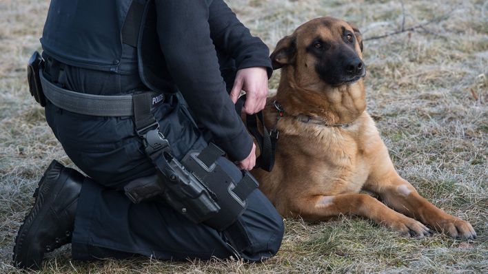 Der Diensthundeführer der Bundespolizei und sein Schutzhund Ivo der Rasse Belgischer Schäferhund (Quelle: dpa/Patrick Pleul)