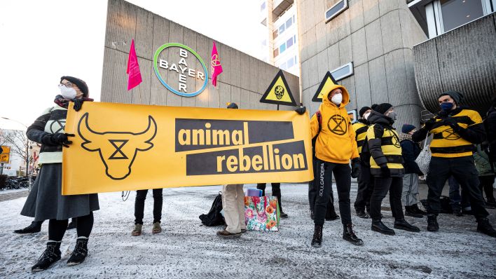 Aktivisten von Extinction Rebellion blockieren den Eingang des Chemiekonzerns Bayer Monsanto in Berlin mit einem Banner mit der Aufschrift "animal rebellion". (Quelle: Fabian Sommer/dpa)